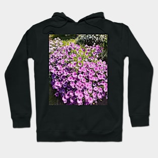 Purple Daisy Daisies Pretty Hoodie